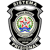 Sistema prisional