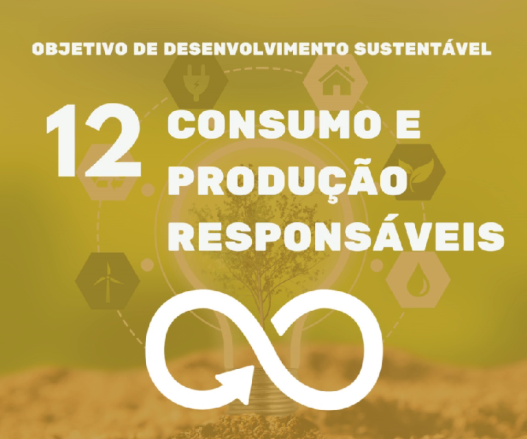 ODS 12: Consumo e Produção Responsável